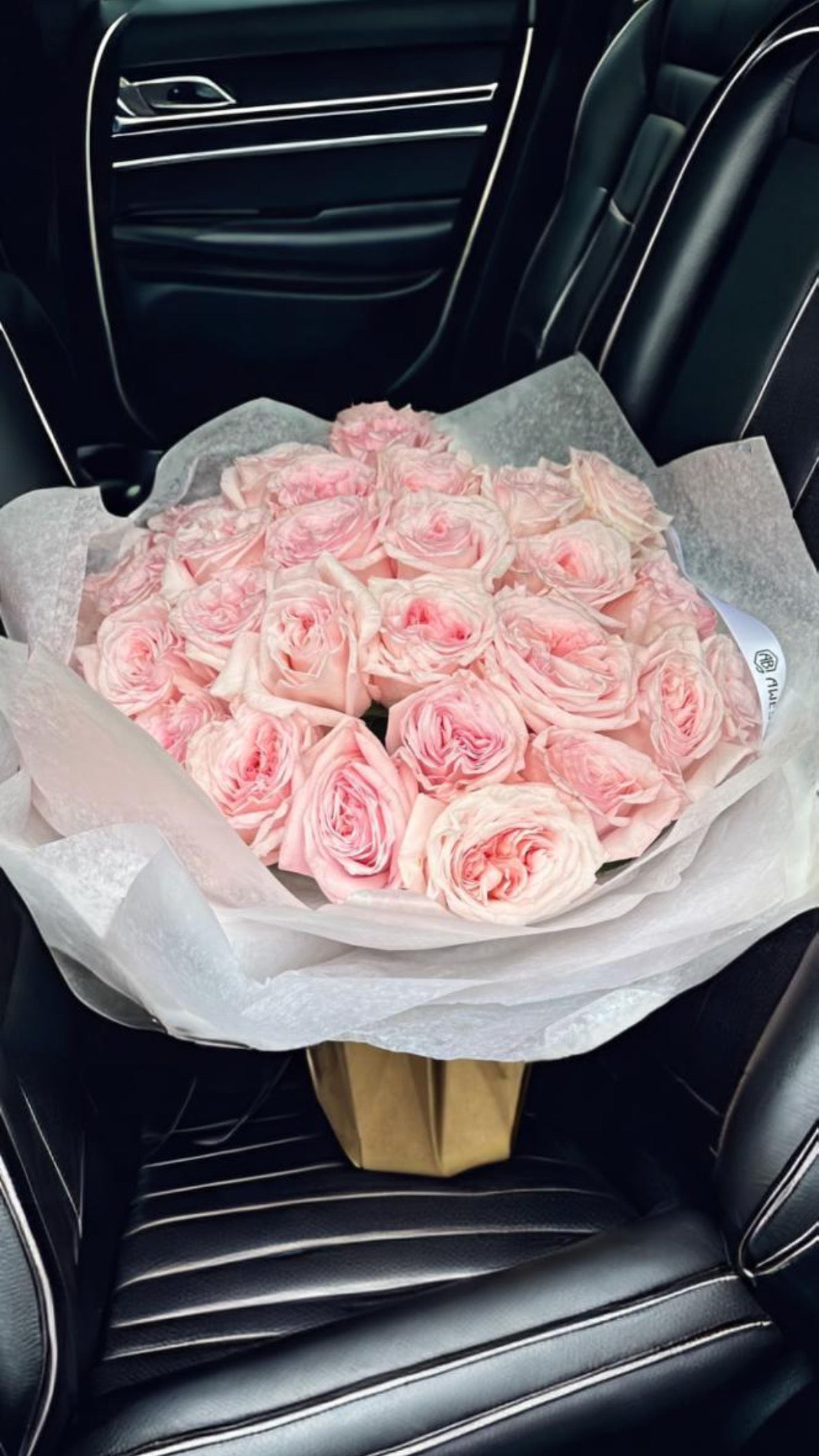 O'hara roses mono