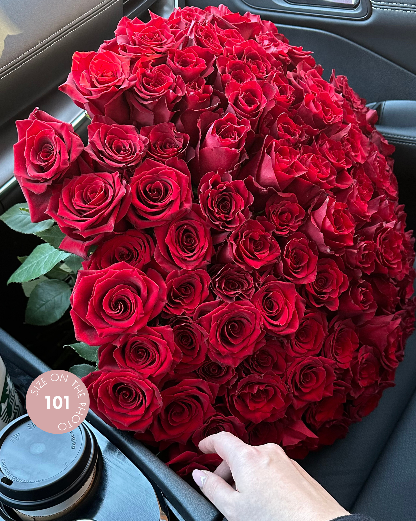 Red roses mono