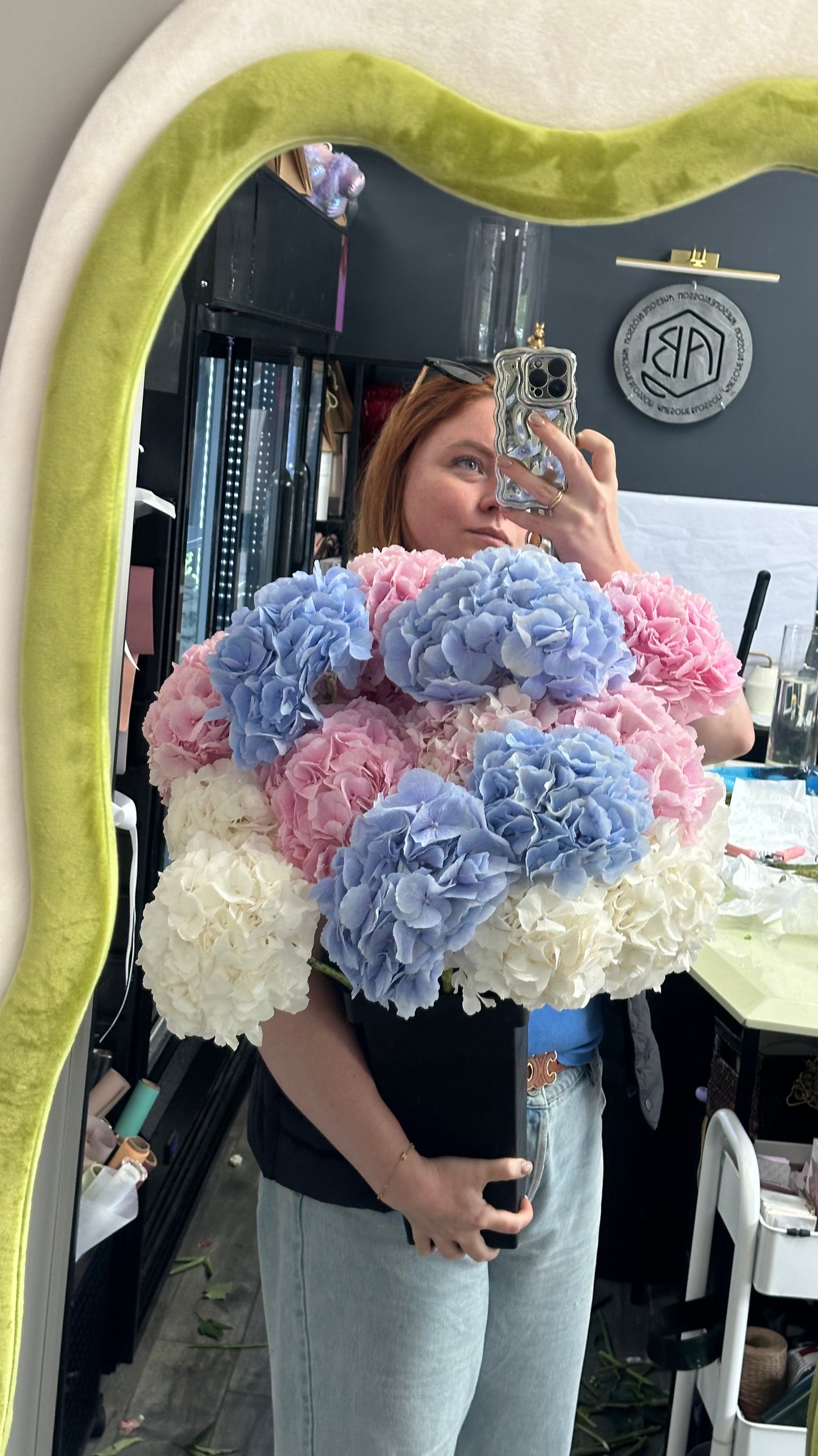 Holland Hydrangeas