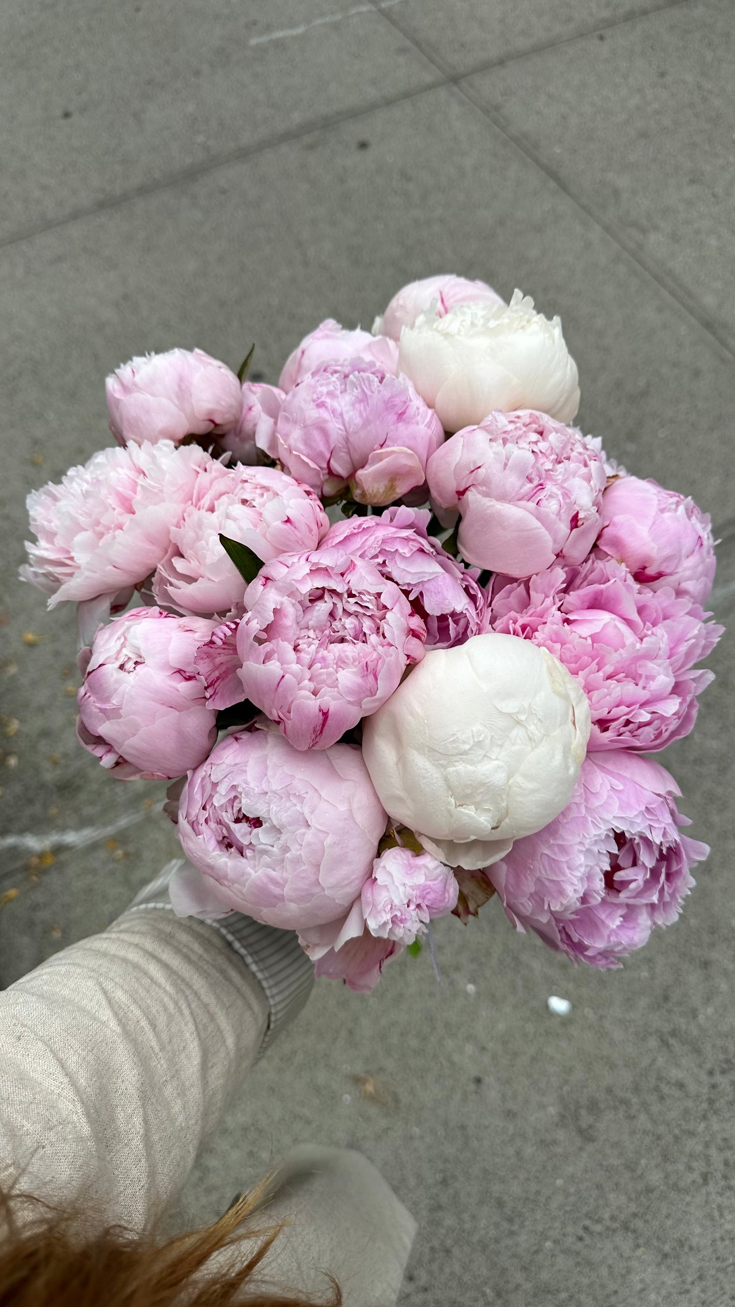 "Pink peony" mono bouquet