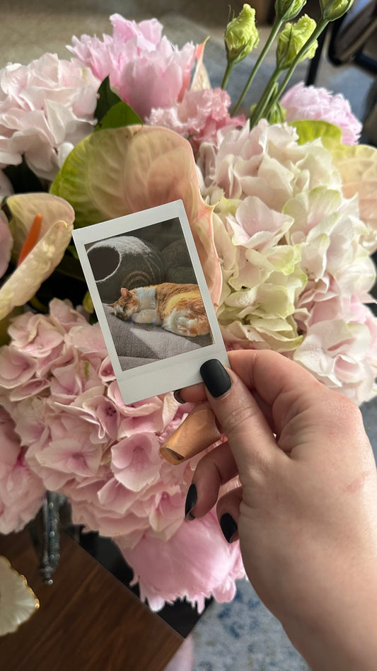 Polaroid photo (add-on)