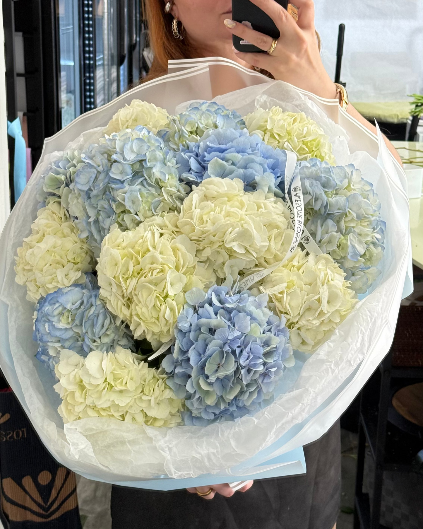 Columbia Hydrangeas