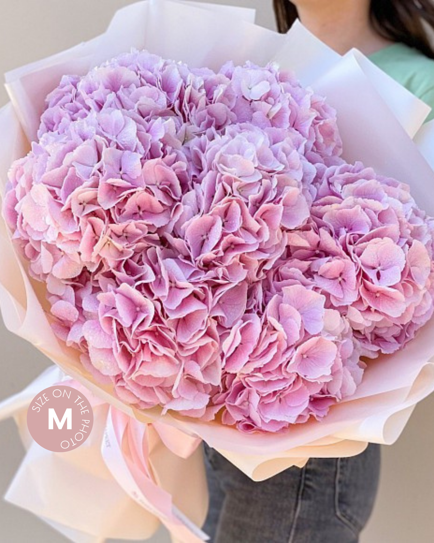 Holland Hydrangeas