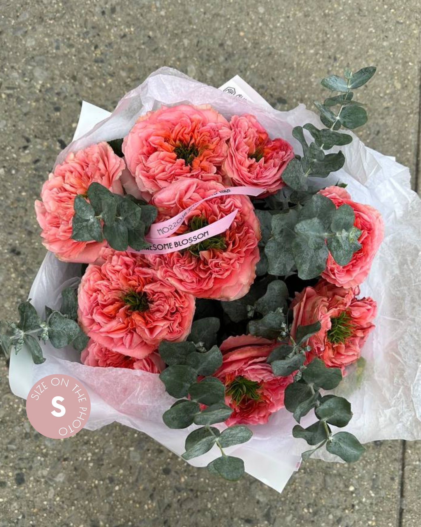 "Monster" roses