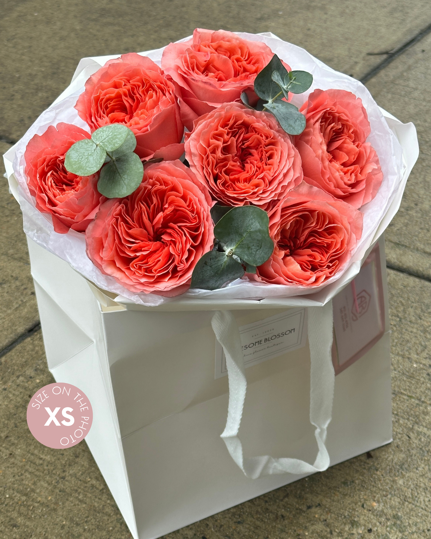 Passion roses