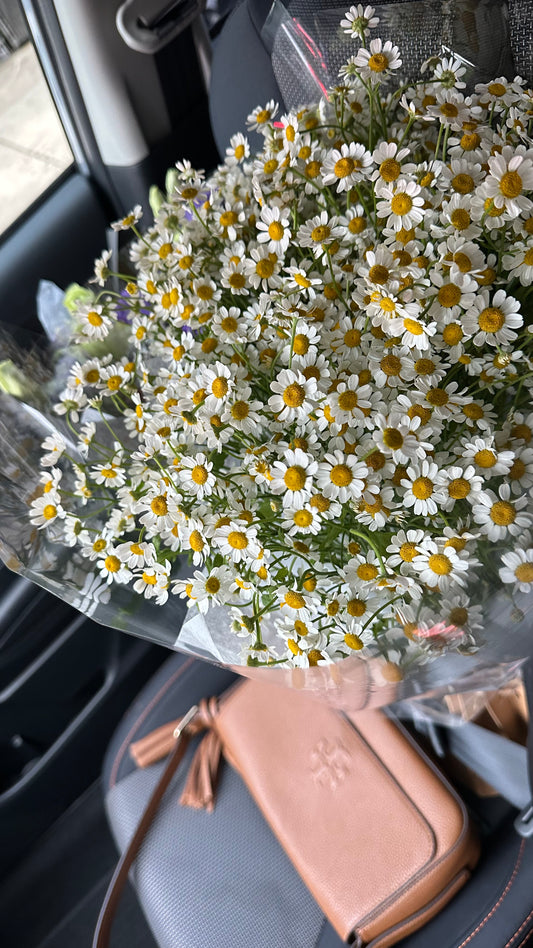 Camomile bouquet "Happiness"