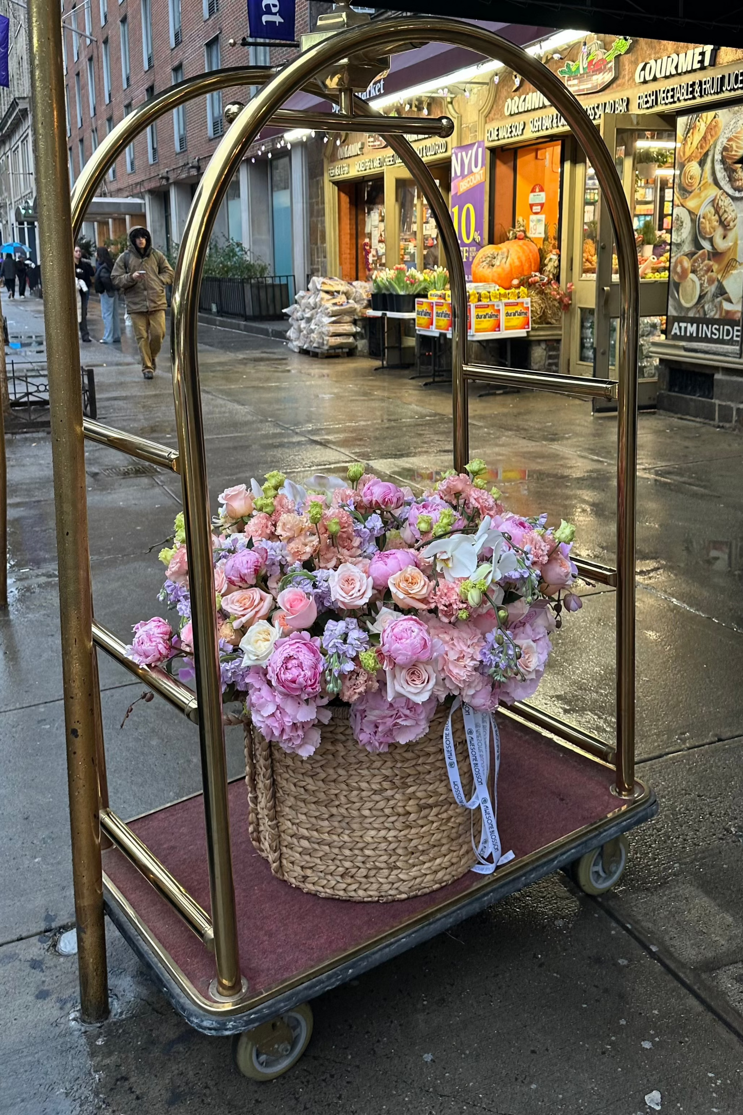 Garden in a basket