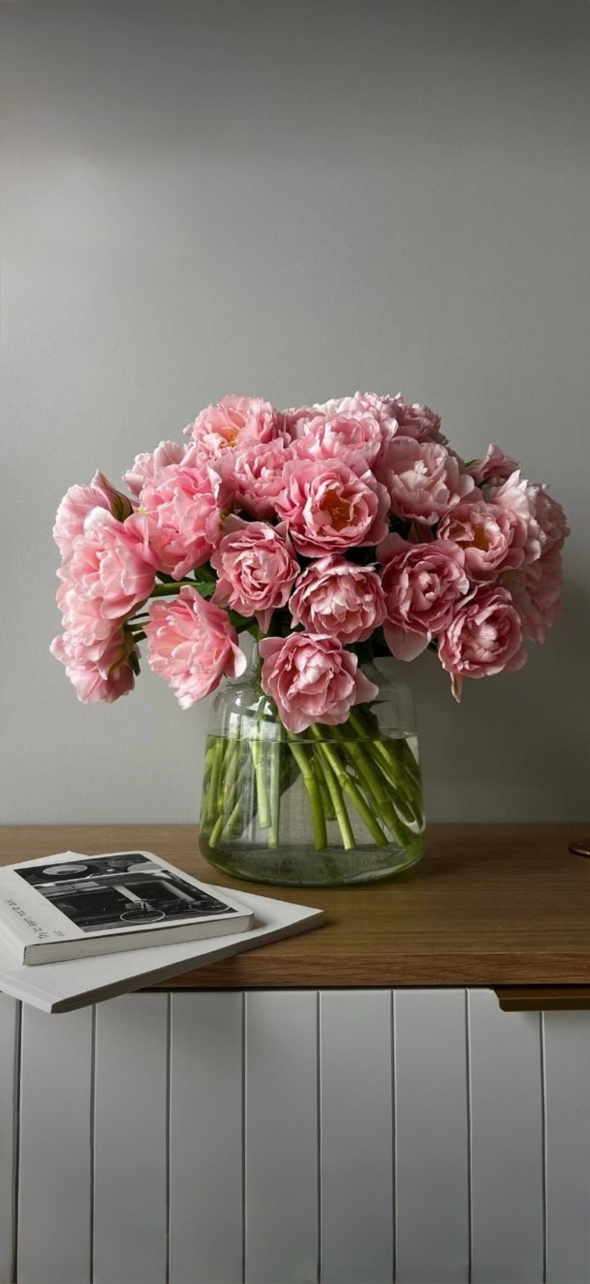 Double tulips "Dreamer"