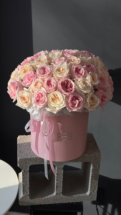 "O'hara roses" box