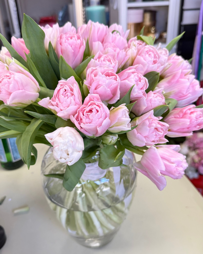 Double tulips "Dreamer"