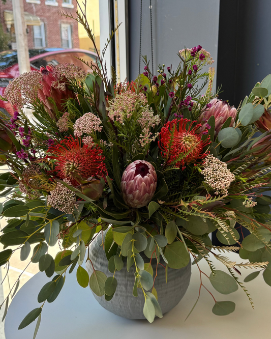"Jungle" Interior Arrangement