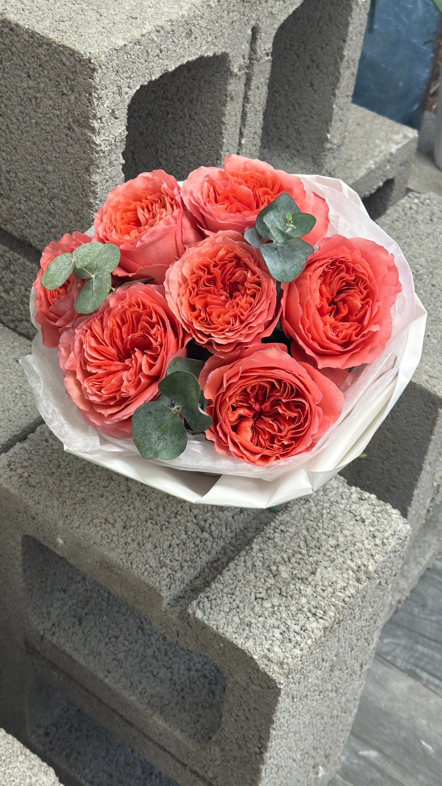 Passion roses
