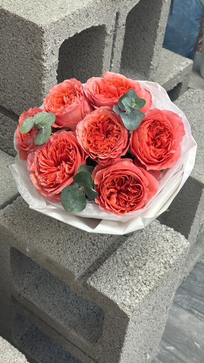 Passion roses