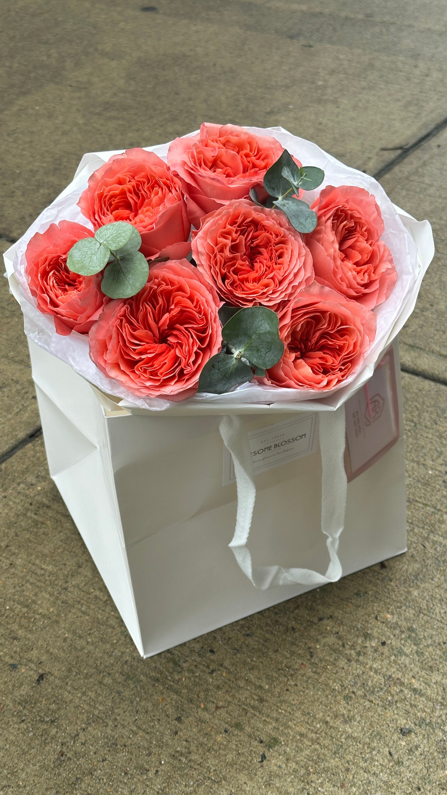 Passion roses