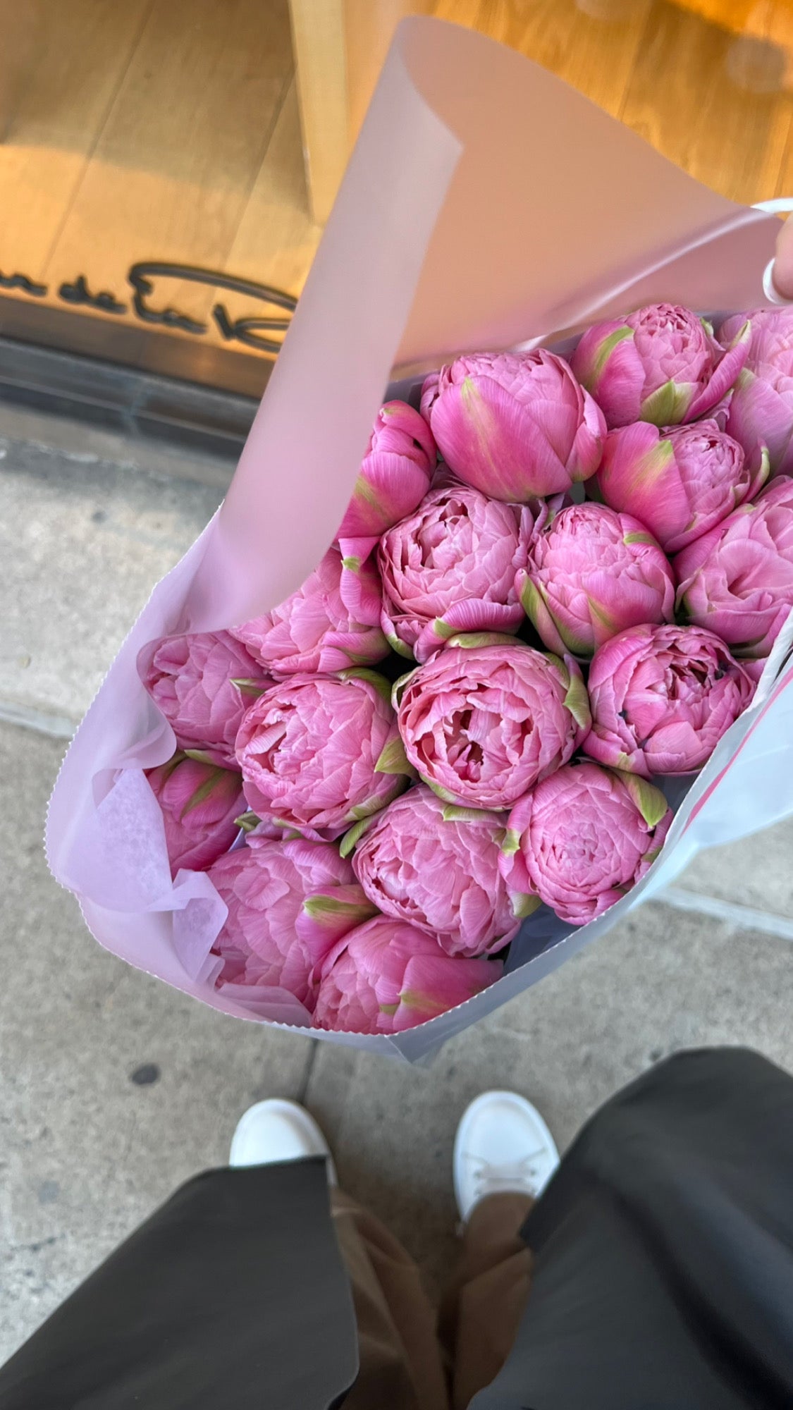 Double tulips "Strawberry Ice Cream"