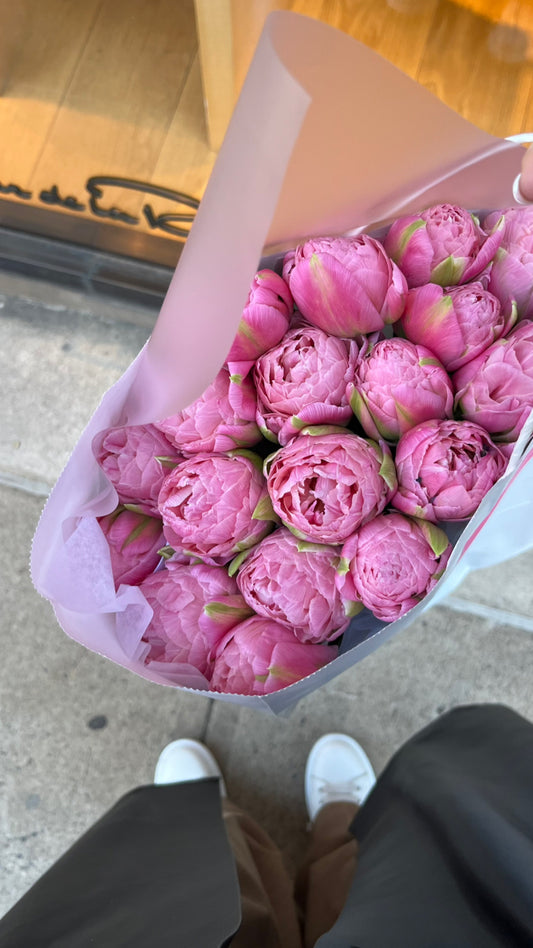 Double tulips "Strawberry Ice Cream"