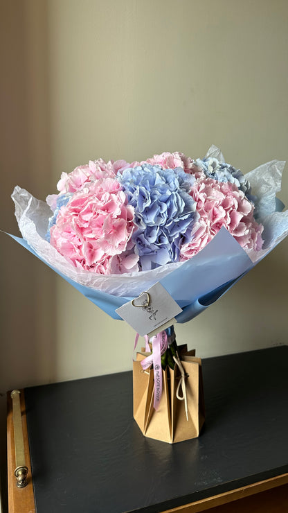 Mix of Holland Hydrangeas