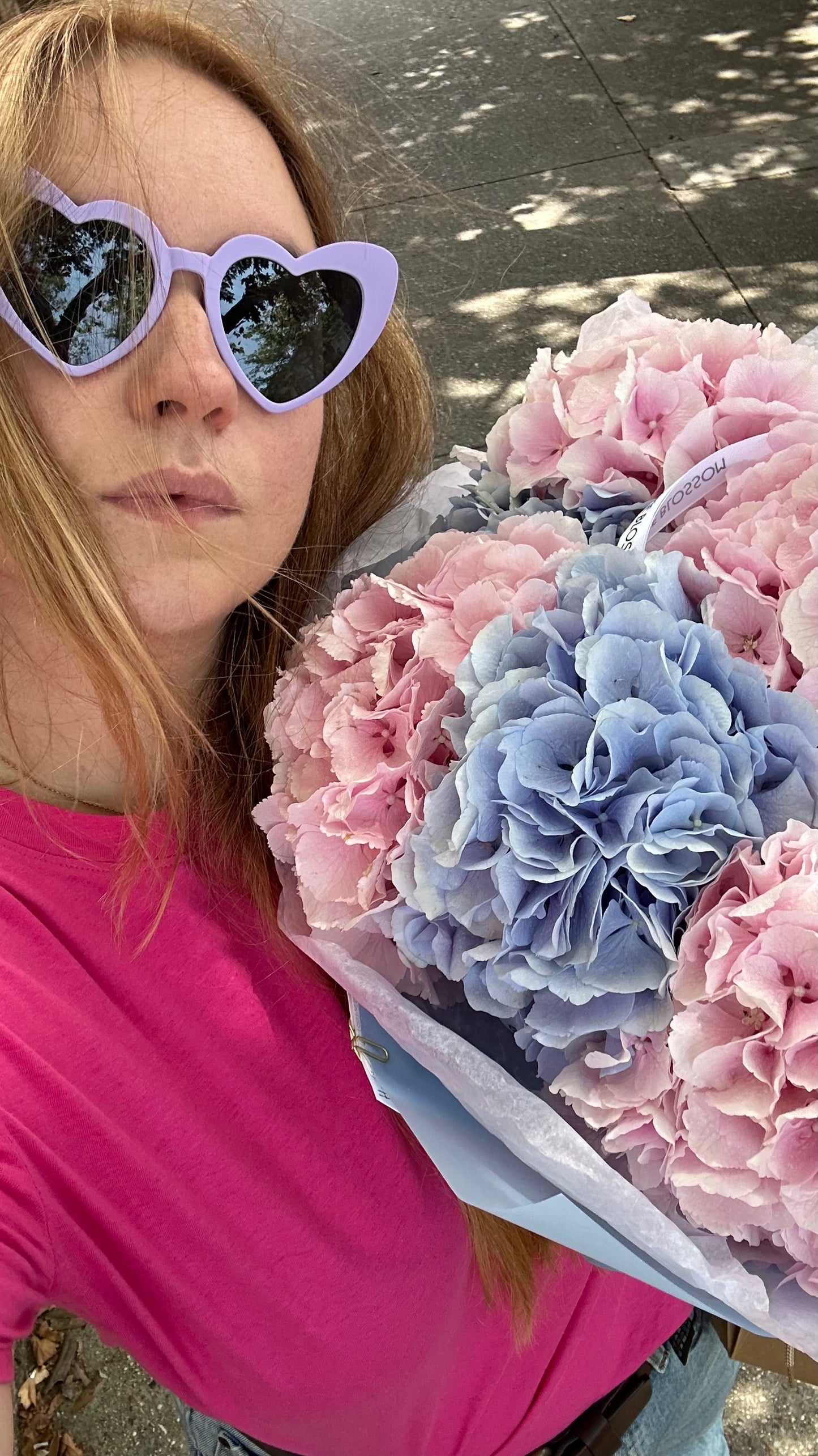 Mix of Holland Hydrangeas