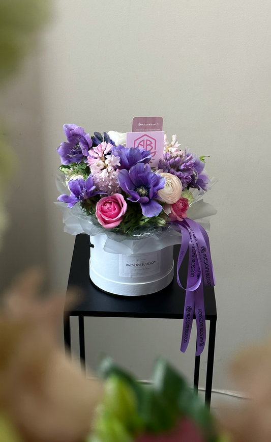 Purple spring box