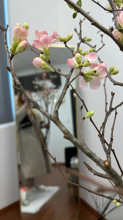 Flowering branches