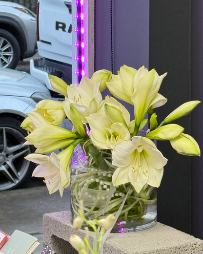 "White winter" interior bouquet