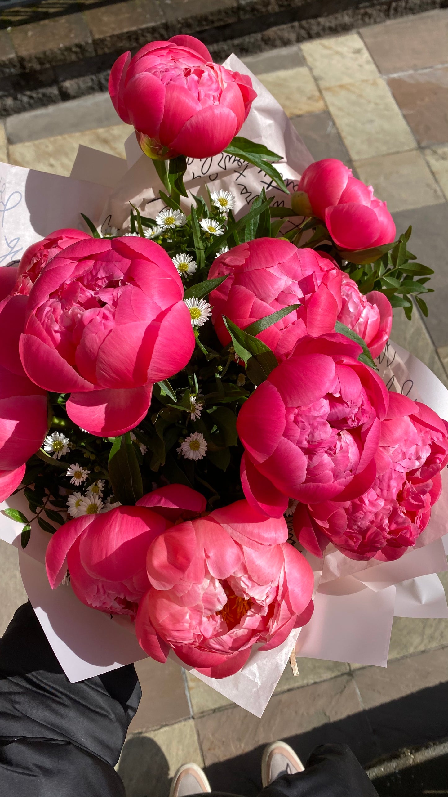 Coral charm peony mono