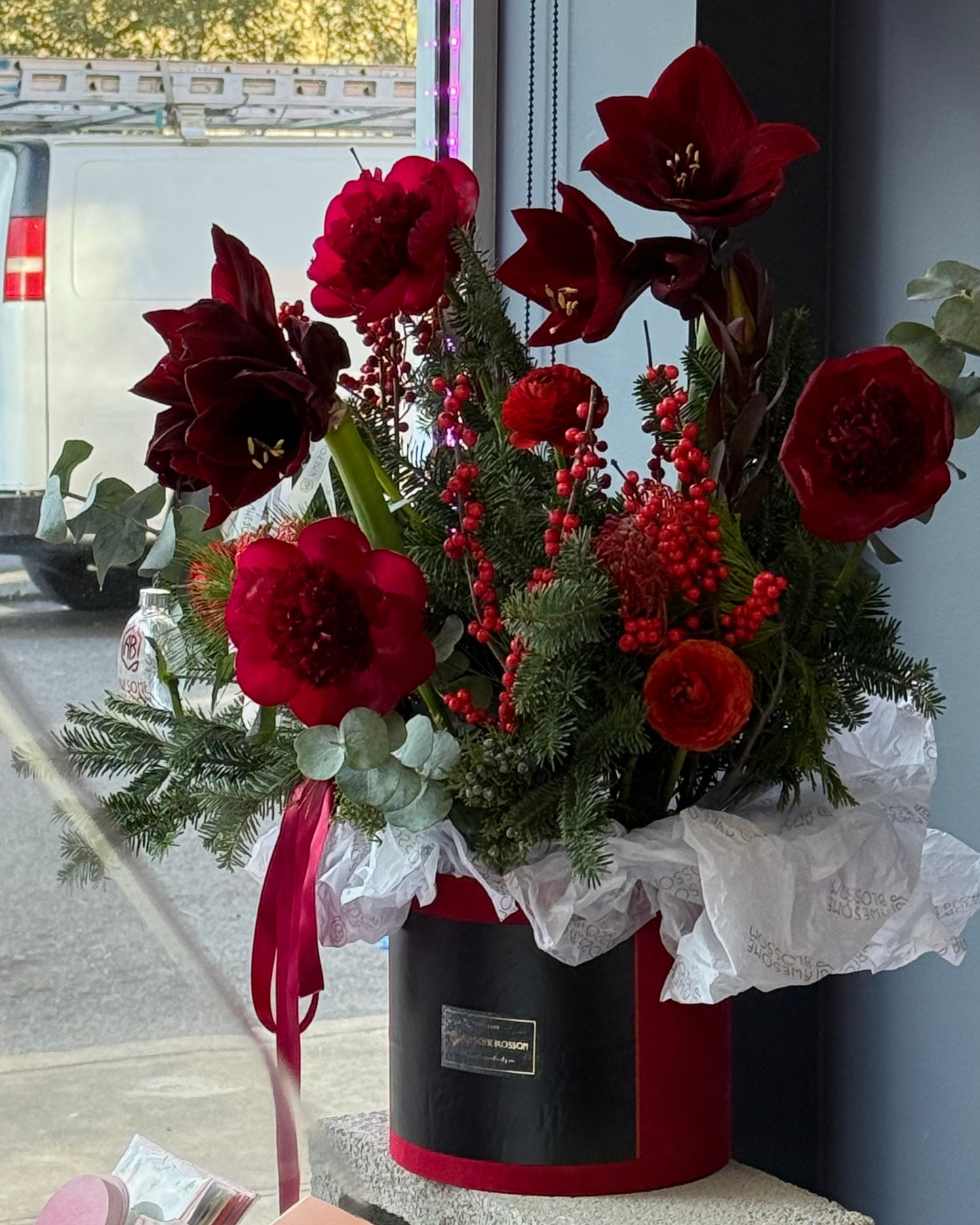 Christmas Box with Amaryllis