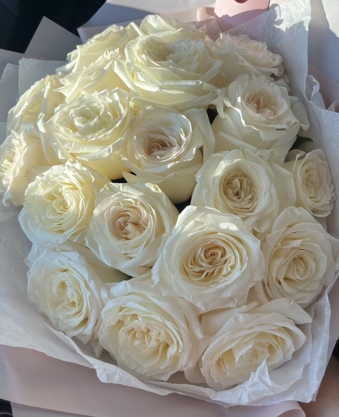 Cream roses