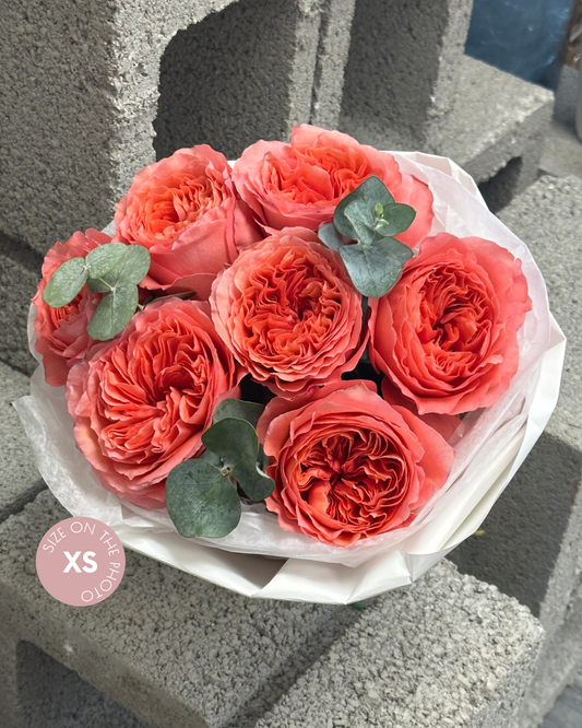 Passion roses