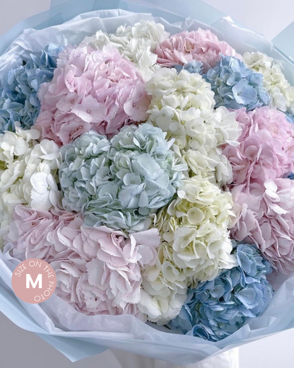 Columbia Hydrangeas