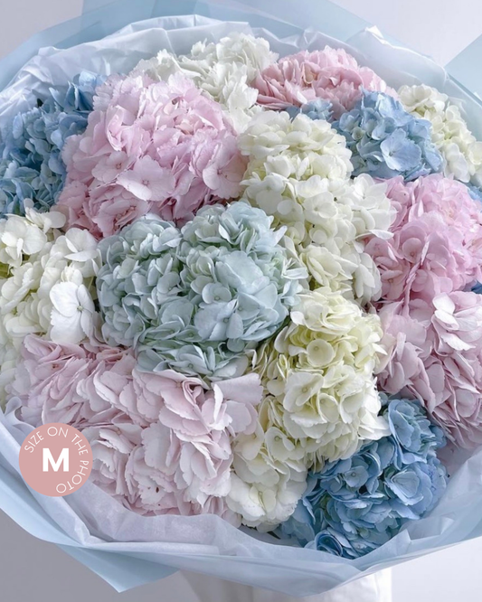 Columbia Hydrangeas